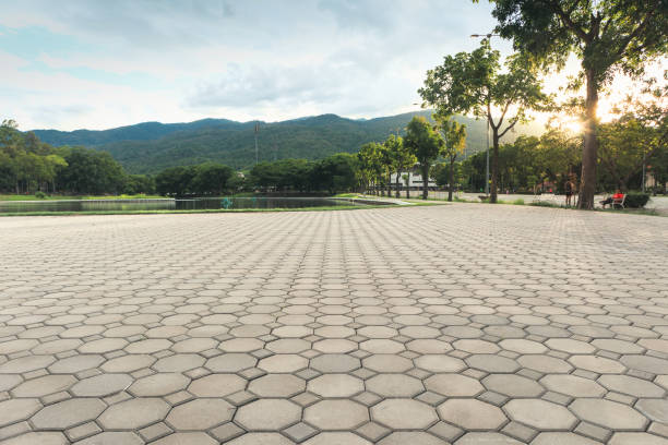 Reliable Goreville, IL Driveway Pavers Solutions